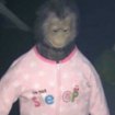 YamaikoHiro