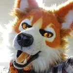 BlizzardPup