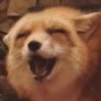 RickyTheRedFox