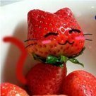 Panfur
