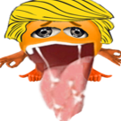 P1ac3h01d3r