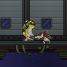 FelisMoon