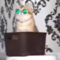 WiseOldKhajiit