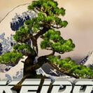 Keido77