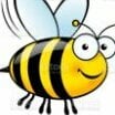 the best bee