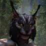 nyanvaran