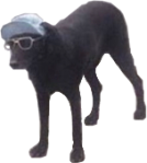 arcticdemon