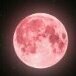 LittleLuna1234