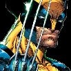wolverine73