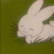 jigmitbunny