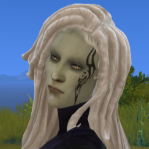 Araelium