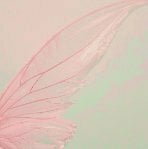 Lilylittlefairy