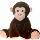 MonkeyBoy1984