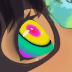SOULCOOM