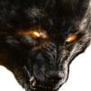 WerewolfD777
