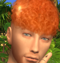 AndreiMicut