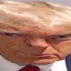 The Real Donald Trump