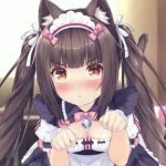 meowoeowmeowme