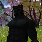 Pantha