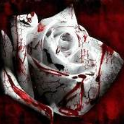 Grimreaper611