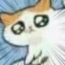 Kittened