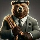 NorthernBear