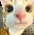 ONIZAME
