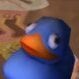 Wicked Birb