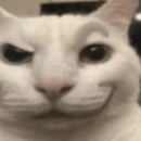 Pwinses Meow