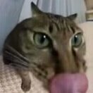 MEOUNEXGEN