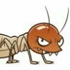 termit