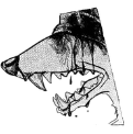 NekoNekoNeed