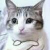 NekoBosu