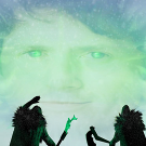 Wintertodd