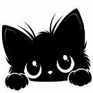 CatMota