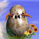 nocturnalrooster