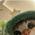 Miek_q