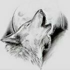 Charles Fenrir