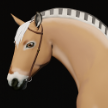 Ascadius