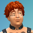 kinkybearsim