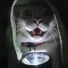 SIrNeto