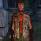 llamatheking