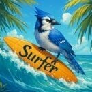 SurferJay