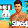 TROYTHESIM