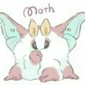 mod-moth