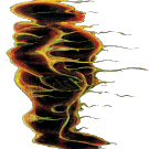 kryp16