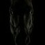 Monster_Joy