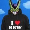 ReviBBWHuntress