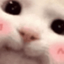 Lipstickghoulie