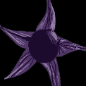 nightshade-pearl